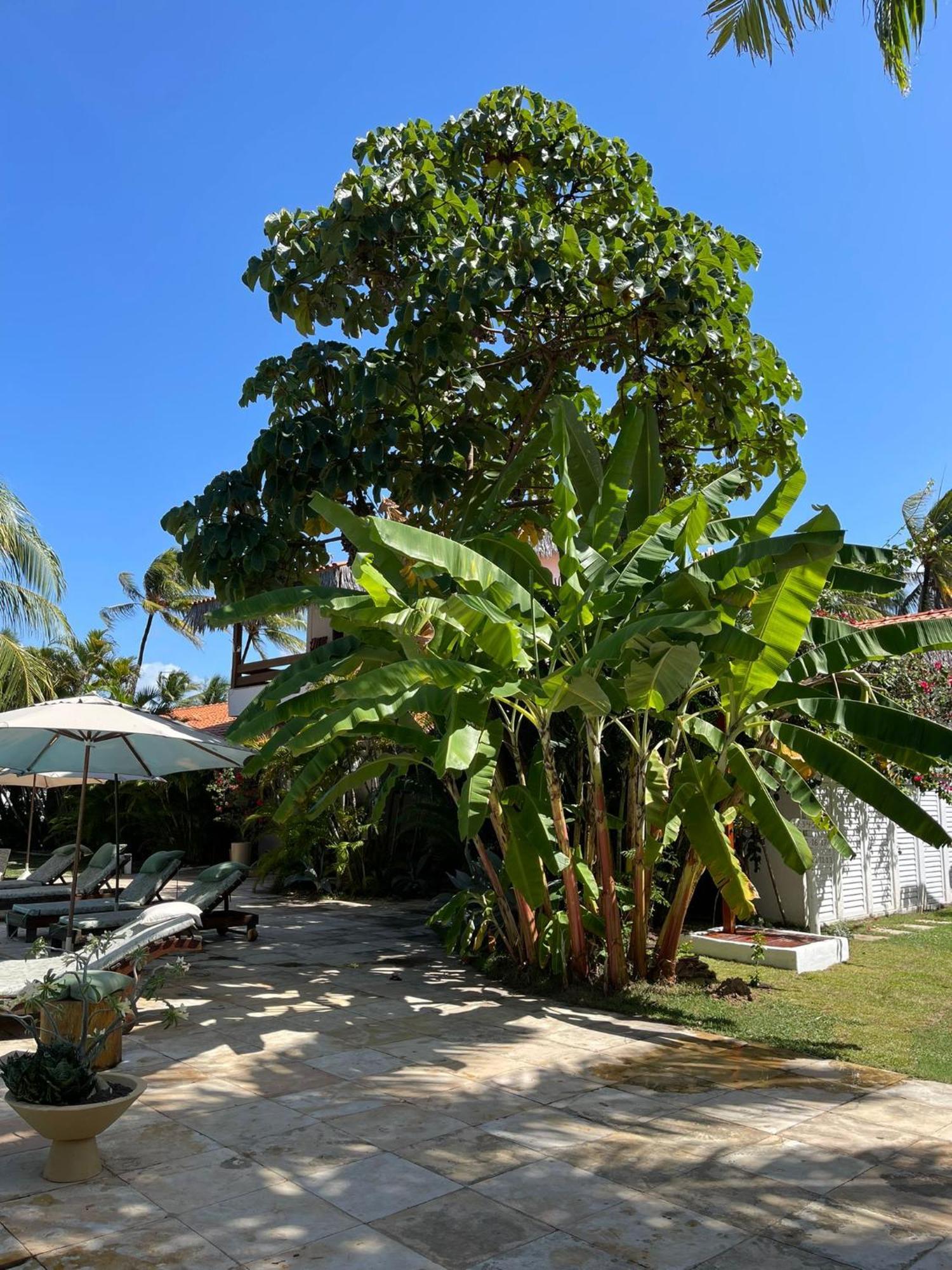 Controvento Boutique Hotel Cumbuco Exterior photo