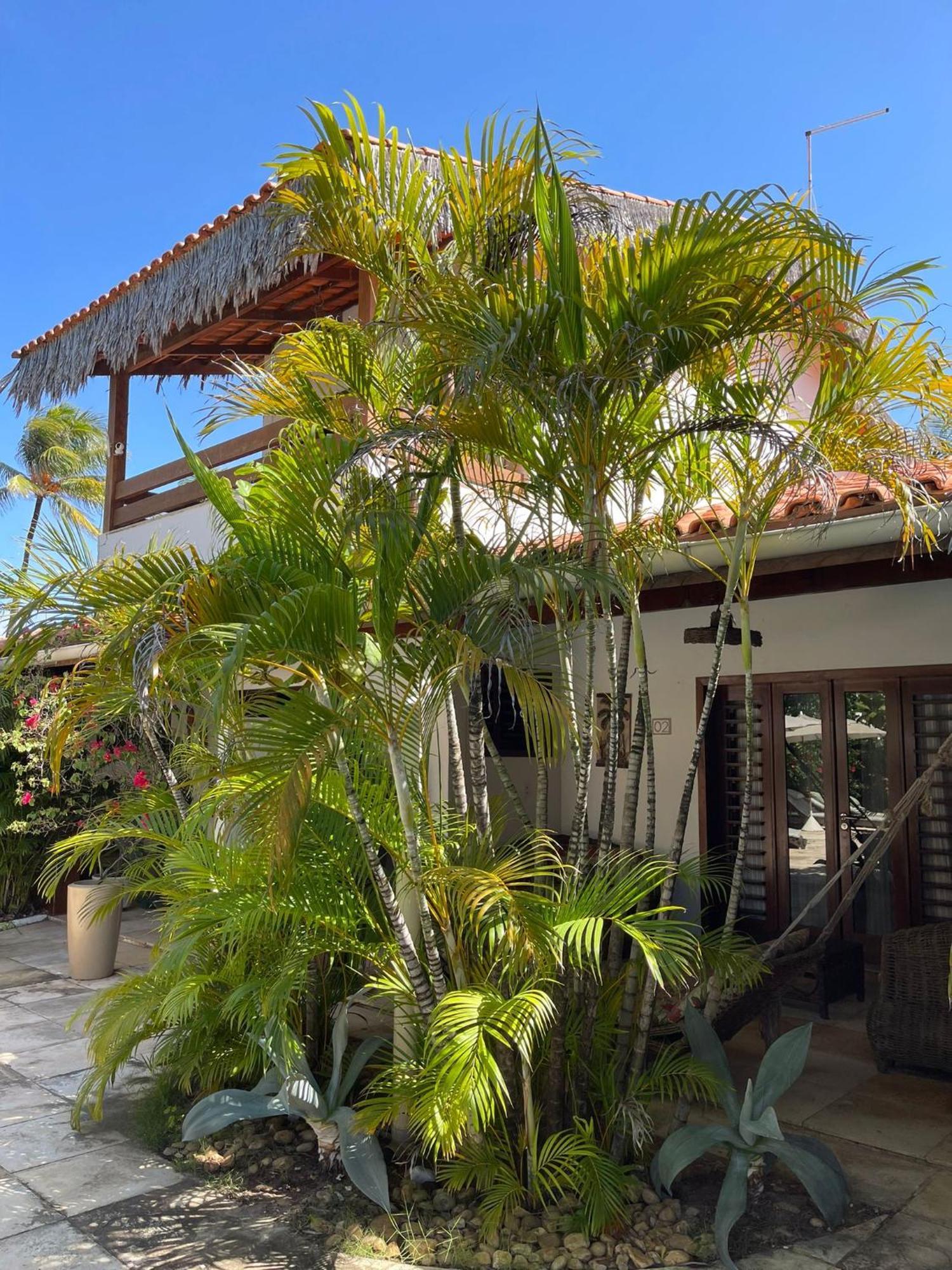 Controvento Boutique Hotel Cumbuco Exterior photo
